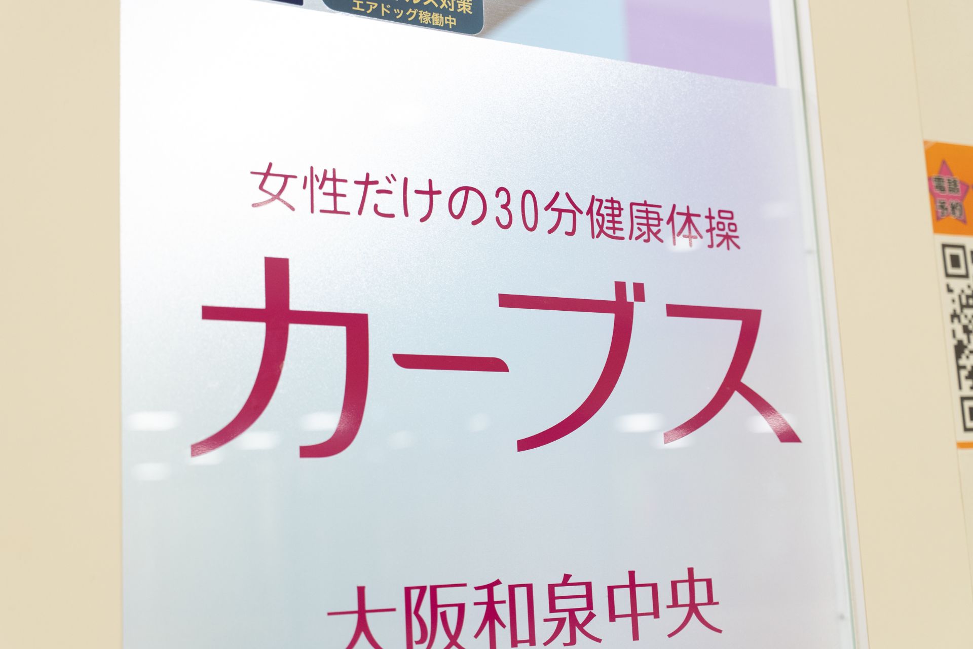 フォトギャラリー